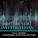 Thru the Veil Investigations - Employment Services-Non Profit