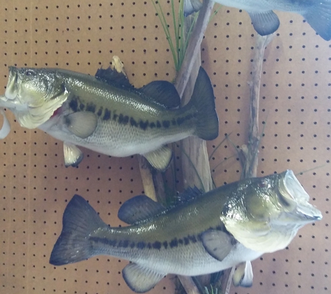 Clearwater Taxidermy - Louisville, KY