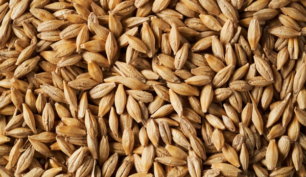 Southern Stockfeeds - Loddon, VIC