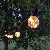 Gallery Image Number 4