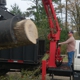 Professional 4 Life Enterprises-Tree Service