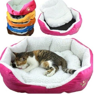 Buy Online Cat Supplies - Bristol, TN. Online Cat Beds