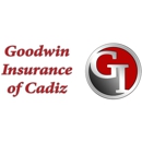 Goodwin Insurance Agency Of Cadiz - Homeowners Insurance