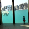 Kansas City Zoo gallery