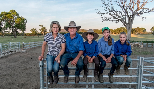Elfinvale Stud Kelpies - Melville Forest, VIC