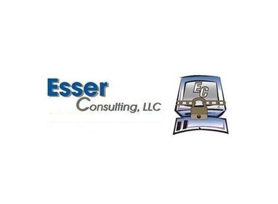 Esser  Consulting, LLC - Appleton, WI