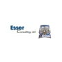 Esser  Consulting, LLC