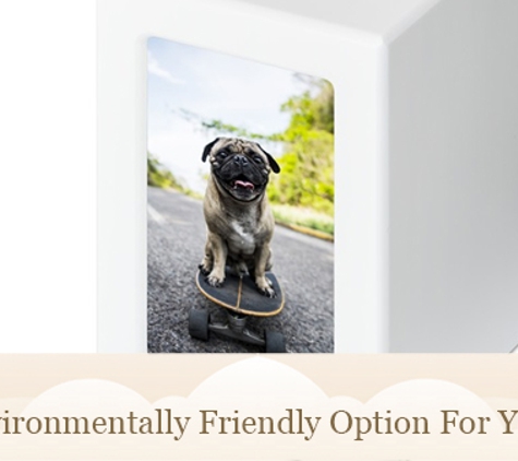Mackay Pet Cremations. The Environmentally Friendly Option For Your Pets