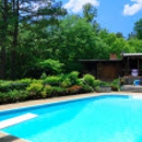 Wayne's Pools - Swimming Pool Equipment & Supplies
