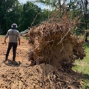 Rock Creek Tree, Turf & Landscape - Arborists
