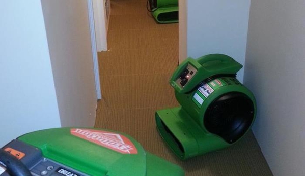 SERVPRO of Forest Hills / Ridgewood - Ridgewood, NY