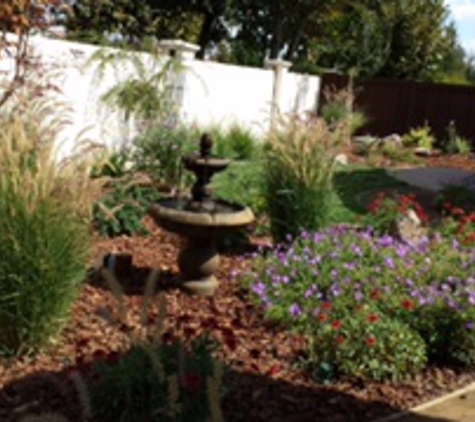 Paradise Landscape & Maintenance - Walnut Creek, CA