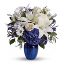 Novack Schafer Florist LLC - Florists