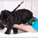 Perfect Paws Pet Salon - Dog & Cat Grooming & Supplies