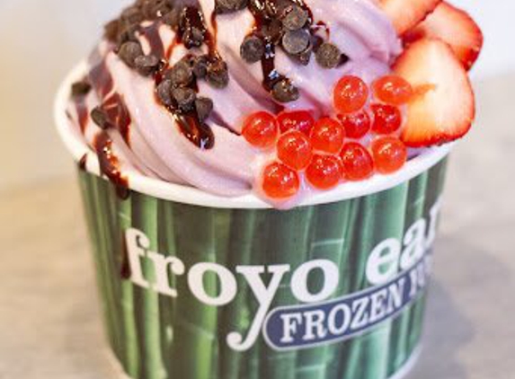 Froyo Earth - Cheney, WA