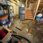 Flood Damage Pro