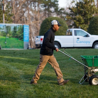 Canopy Lawn Care Raleigh