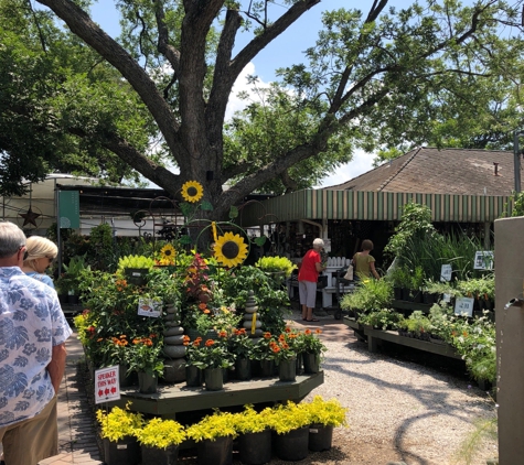 Buchanan's Native Plants - Houston, TX