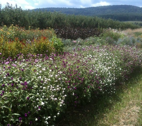 Catoctin Mountain Orchard - Thurmont, MD