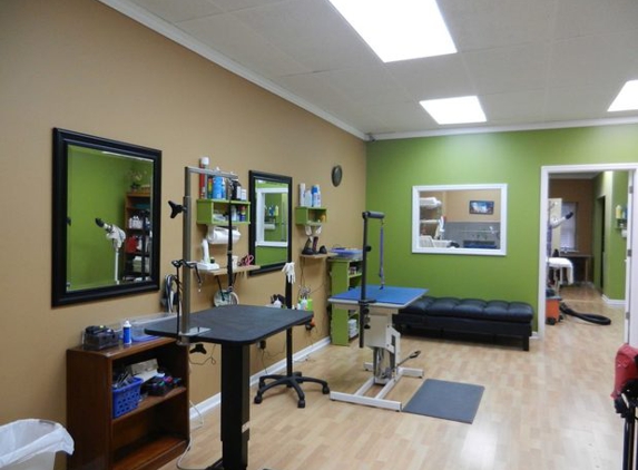 Dog Grooming Studio - Bloomfield, NJ