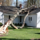 C Nicols Tree Service - Tree Service