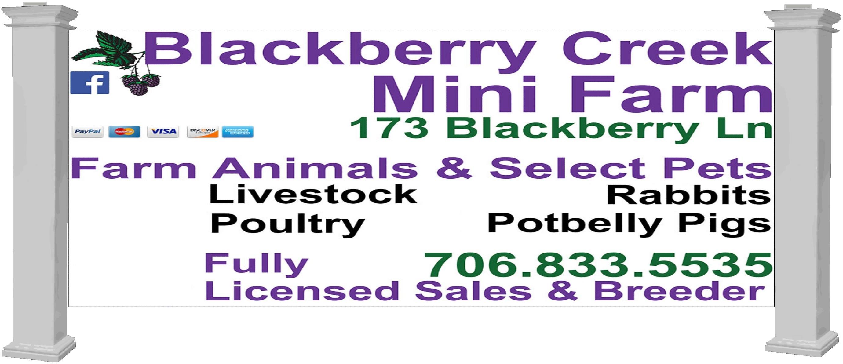 Blackberry Creek Mini Farm 173 Blackberry Ln, Augusta, GA 30906 - YP.com