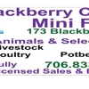 Blackberry Creek Mini Farm gallery