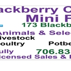 Blackberry Creek Mini Farm