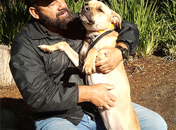 Pro-Train - Service Dog Training - San Diego, CA