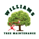 Williams Tree Maintenance - Tree Service