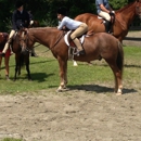 Pam Herman Farms - Riding Academies