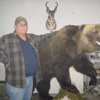 All Animal Art Taxidermy Studio gallery