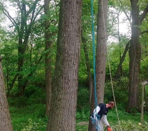 Dick's Tree Service - Cedar Rapids, IA