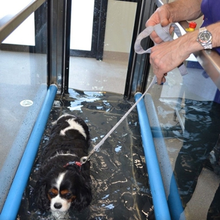 Sandy Bay Holistic Veterinary Clinic - Sandy Bay, TAS