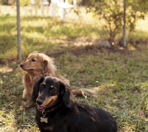 Cedar Shade Pet Retreat