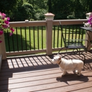 Precious Clips Pets Salon - Pet Grooming
