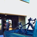 Wally's Bicycles - Bicycle Shops