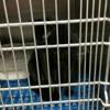 Petsense by Tractor Supply gallery