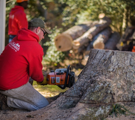 Blazer Tree Service - Chesterfield, VA