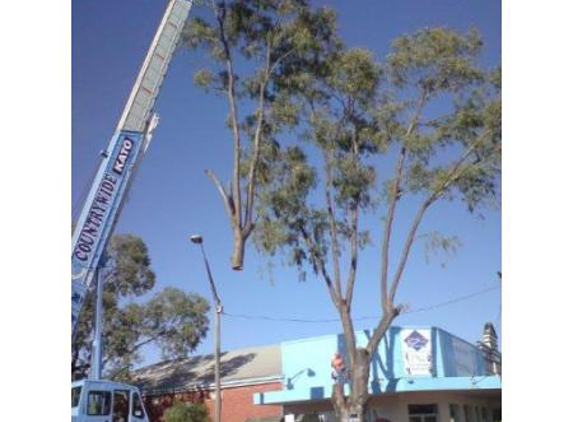 A1 Tree Service (NSW) Pty Ltd. - Dubbo, NSW