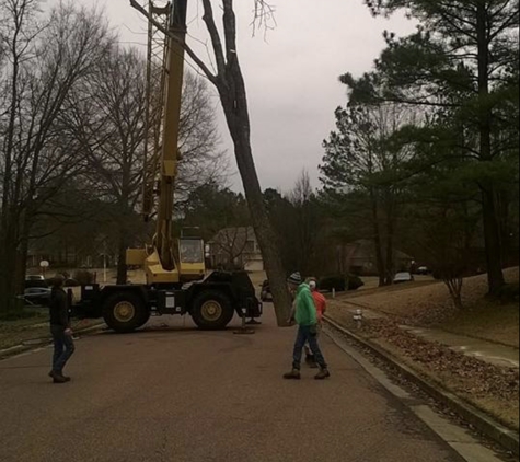 Eric Ecklund's Tree Service