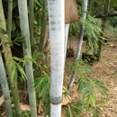 Healing Garden & Bamboo - Nurseries-Plants & Trees