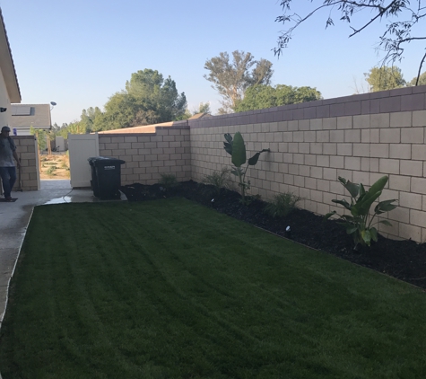 Buchanan Landscape - Murrieta, CA. Other side yard with concrete pathway and concrete pad for bins.