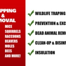 Affordable  Wildlife Solutions - Trapping Equipment & Supplies