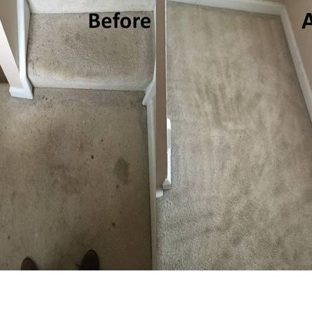 Sereen Celan Carpet Cleaning, LLC - Charlotte, NC