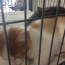 Eau Claire County Humane Association - Animal Shelters