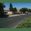 State Farm Insurance - Insurance