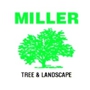 Miller Tree & Landscape