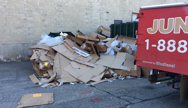 Junk King Santa Clarita - Castaic, CA