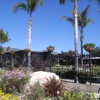 La Crescenta Nursery gallery